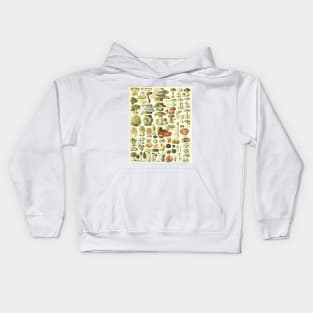 Mushroom Chart Kids Hoodie